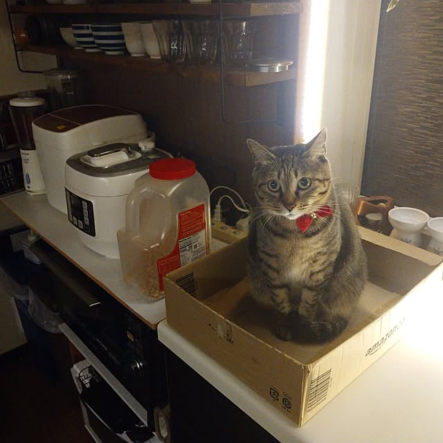 raraさんの実例写真