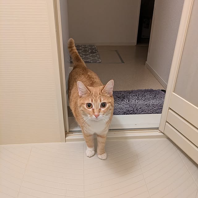 minnieさんの部屋