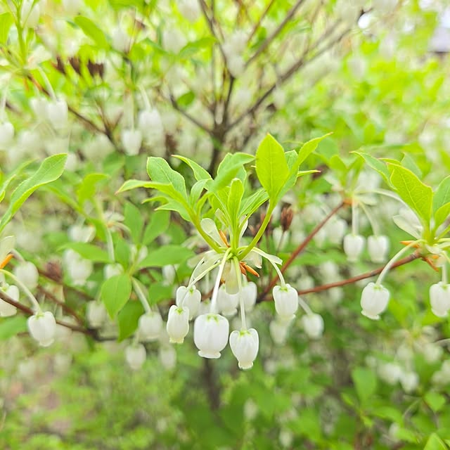 min_nimさんの実例写真