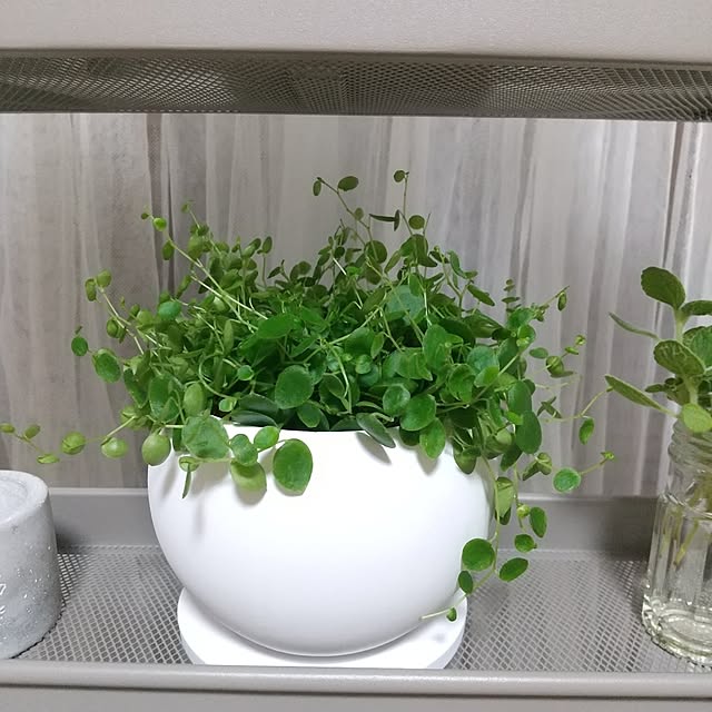 meiさんの部屋
