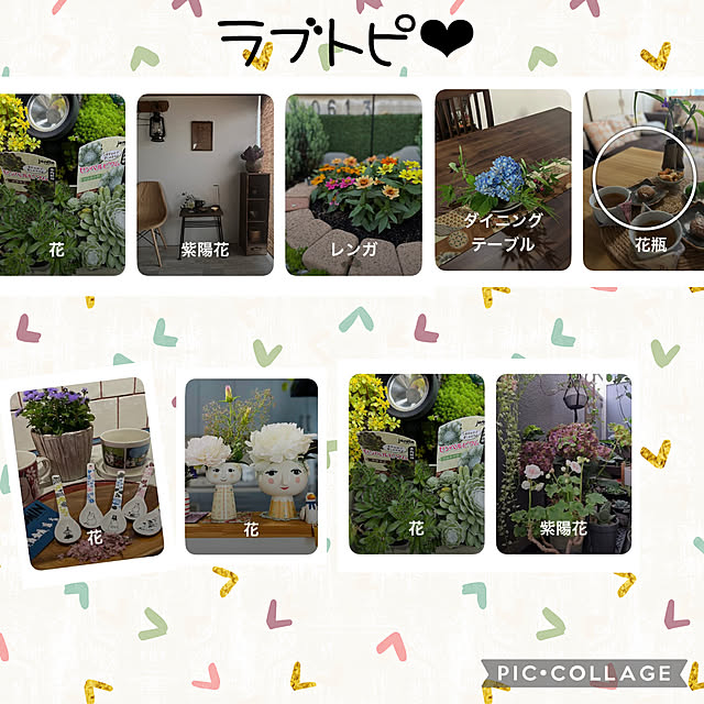 CoCo0617さんの実例写真