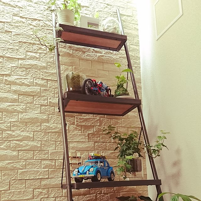 Thermid0rさんの実例写真