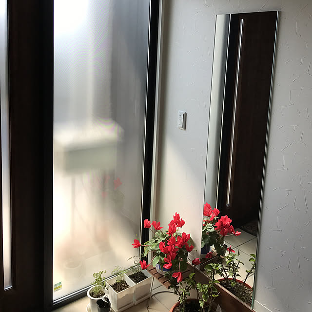 Nicoleさんの実例写真