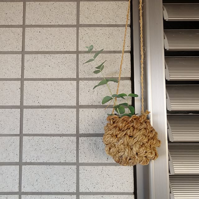 sachi_no_sukeさんの実例写真