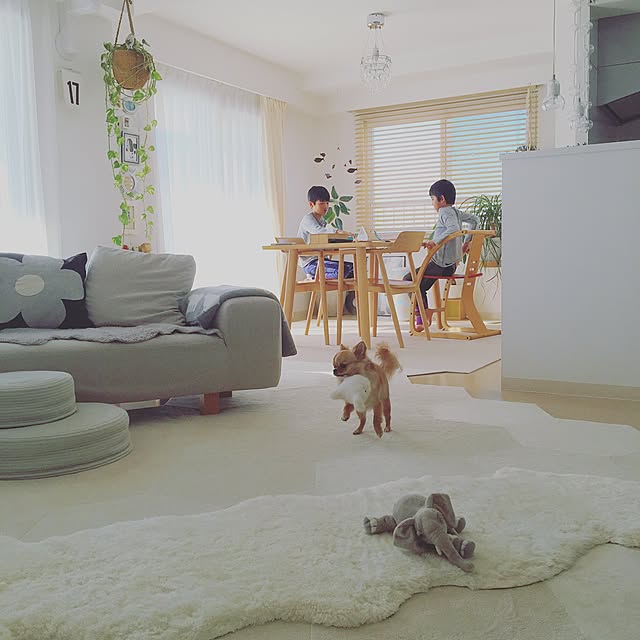 haruhinaさんの実例写真