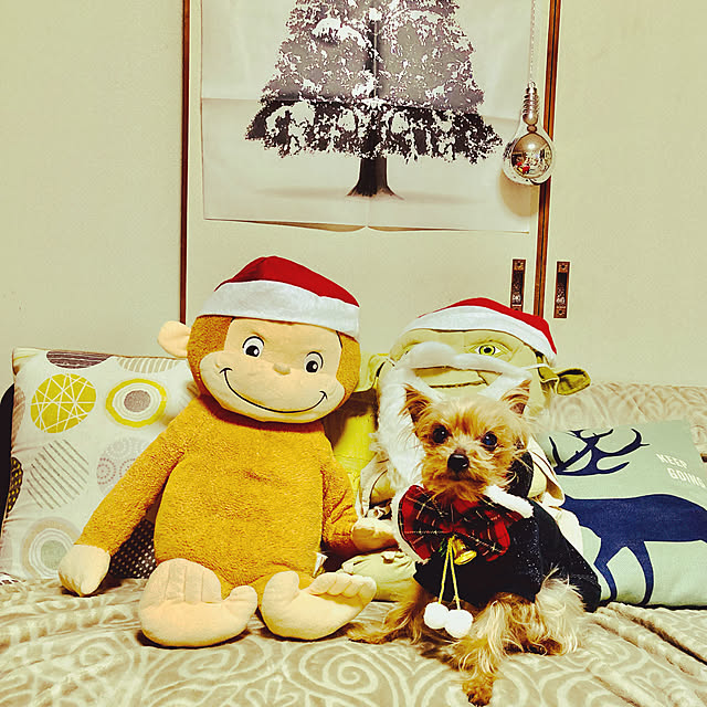 CoCo0617さんの実例写真