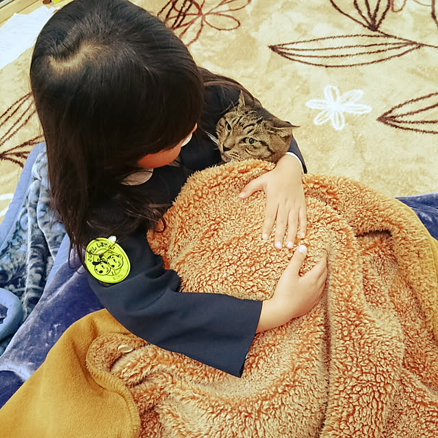 aisuさんの実例写真