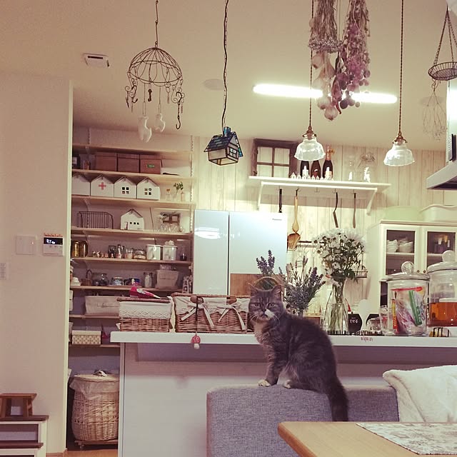 romimaさんの実例写真