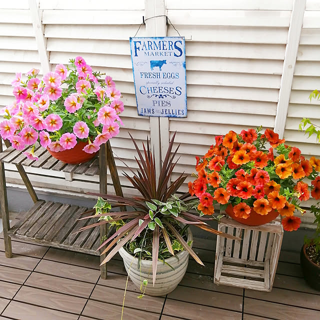 VERANDARJUNさんの実例写真