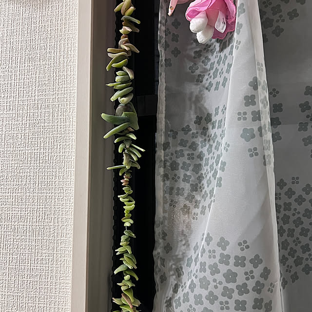 AAAさんの部屋