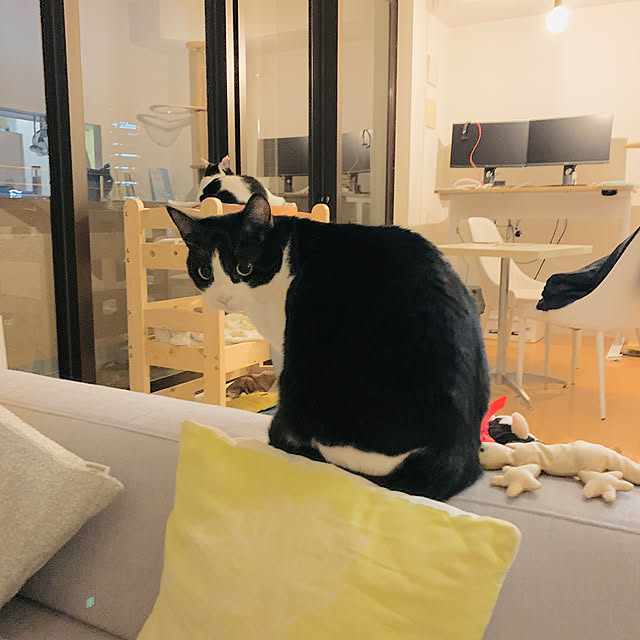 swv702さんの実例写真