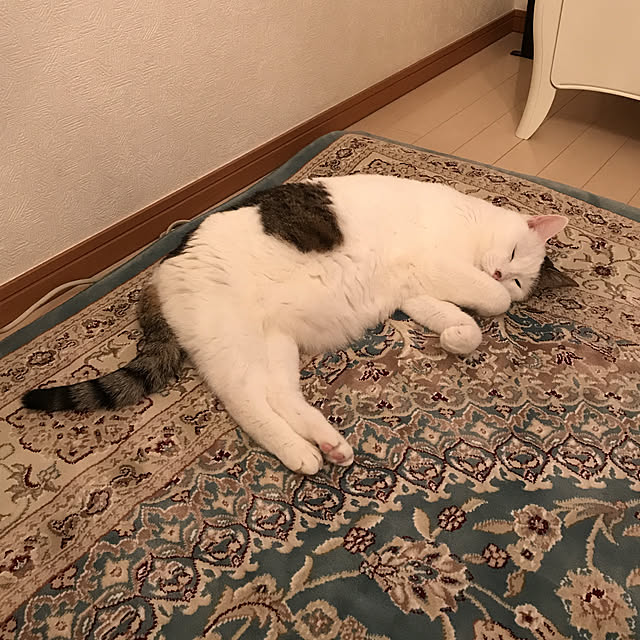 coedodecoさんの実例写真