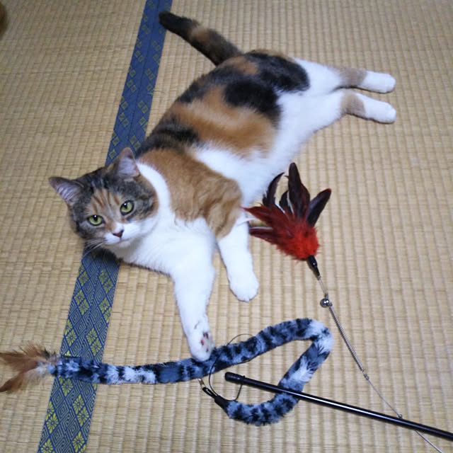 yukieさんの実例写真