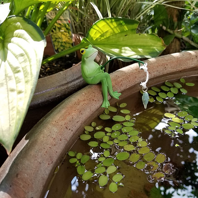 midoriさんの実例写真