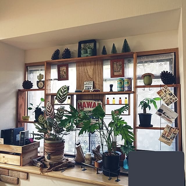nanaさんの部屋