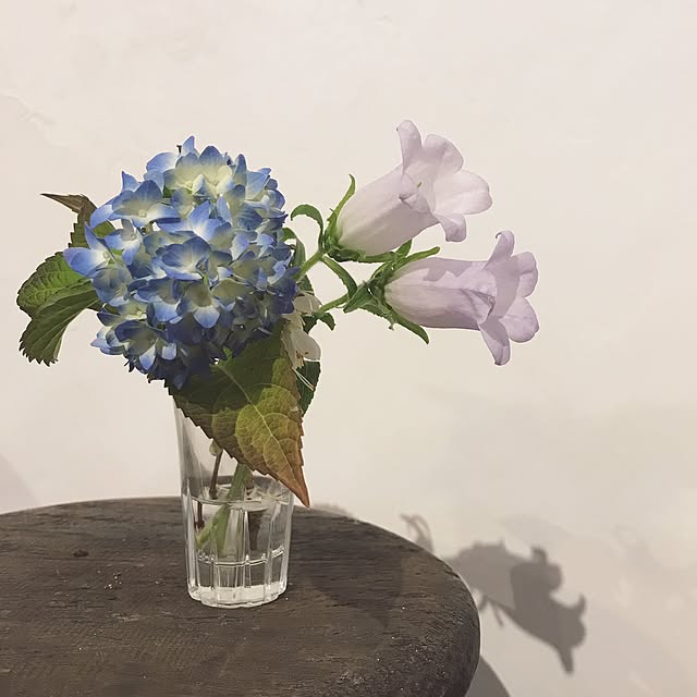 tocoriさんの実例写真