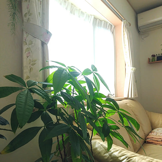 moku2さんの実例写真