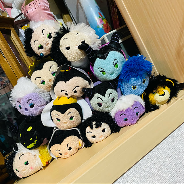 toshikunzebraさんの実例写真