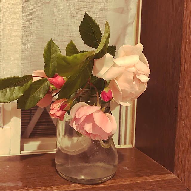 moyuhiさんの実例写真