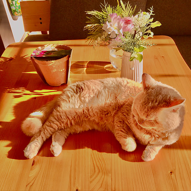 naokoさんの実例写真