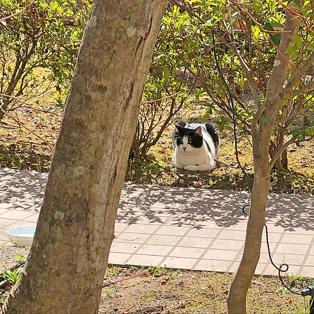 yumicyanさんの実例写真