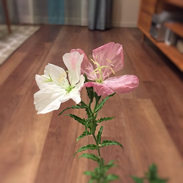 happyturnさんの実例写真