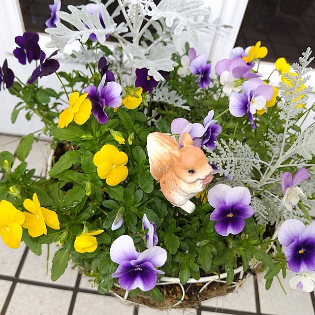 katさんの実例写真