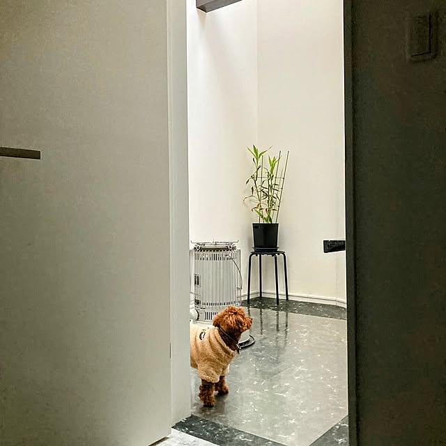MOMOMAMAさんの実例写真