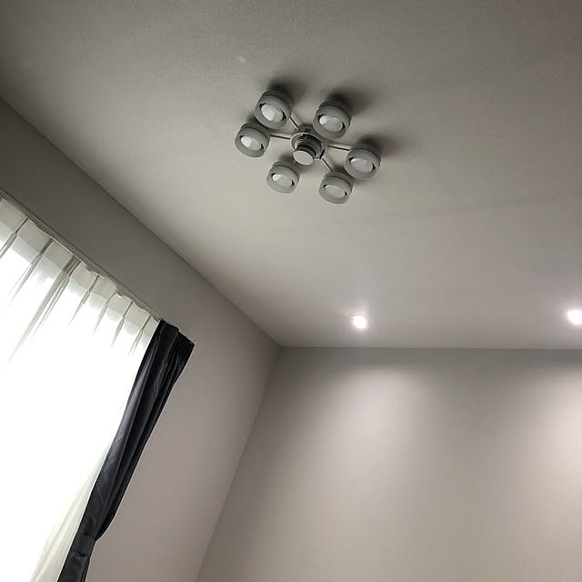 壁/天井のインテリア実例 - 2019-01-12 14:28:02