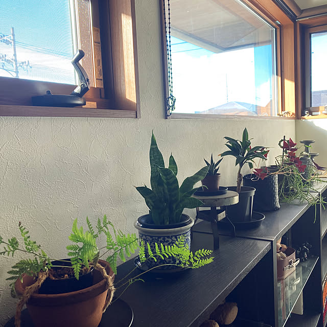 matthewさんの部屋