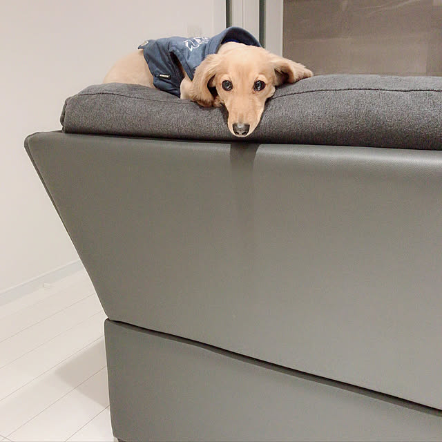 ABC.Nさんの実例写真