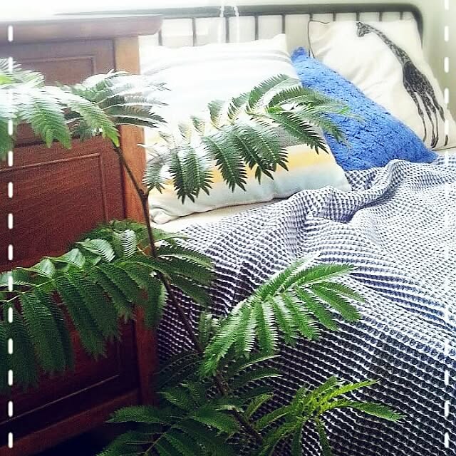 satosmileyさんの実例写真