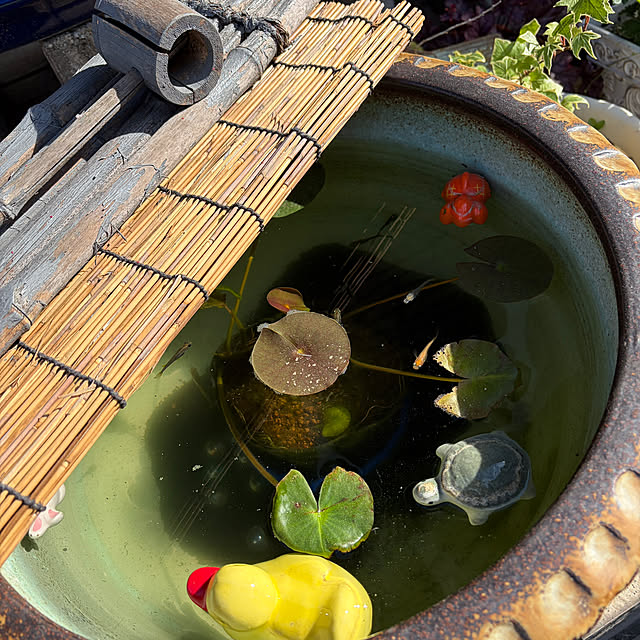 chIoeさんの部屋