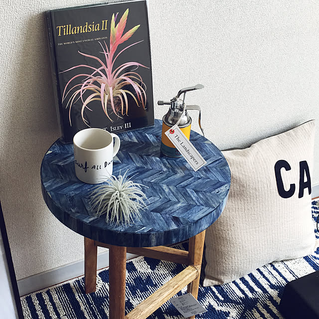 Tillandsia-Loveさんの実例写真