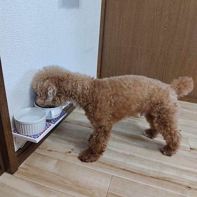 santamamaさんの部屋