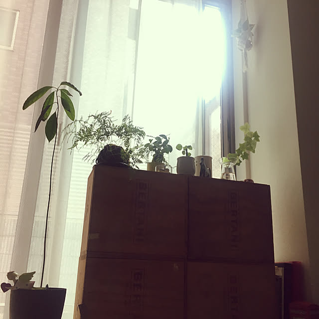 juliskaさんの実例写真