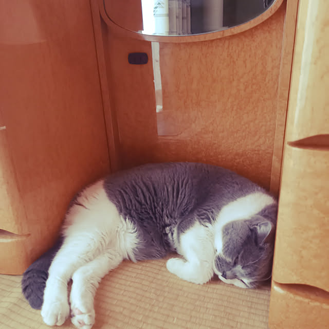 rhuさんの実例写真