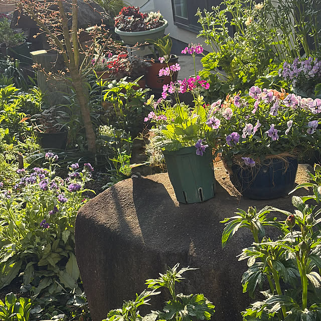 buchiさんの実例写真