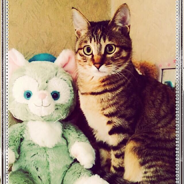 MASAさんの実例写真