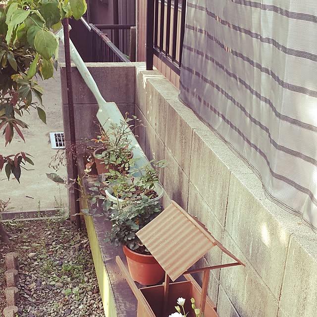 Koheiさんの実例写真