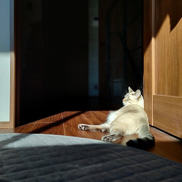 Atelier_tamakiさんの部屋
