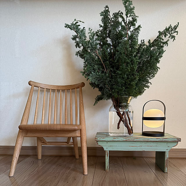 snow-childさんの実例写真