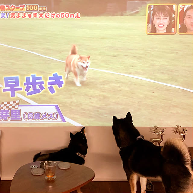 nuruiさんの実例写真