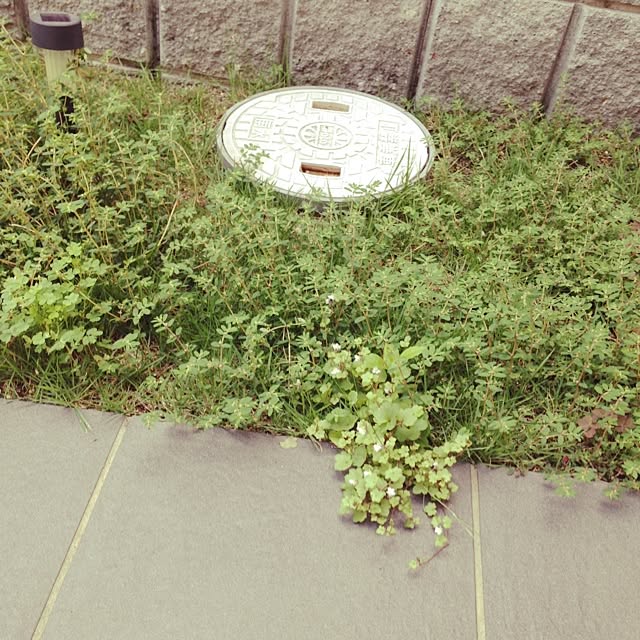 anko.hibuさんの実例写真