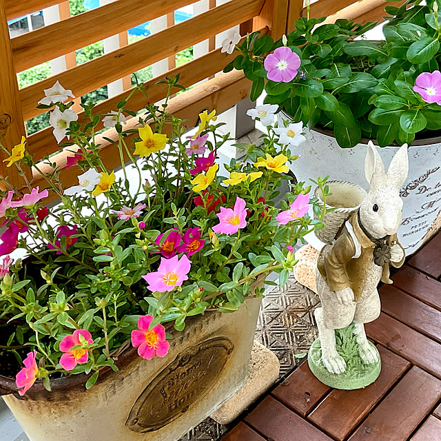 2.11maririnさんの実例写真