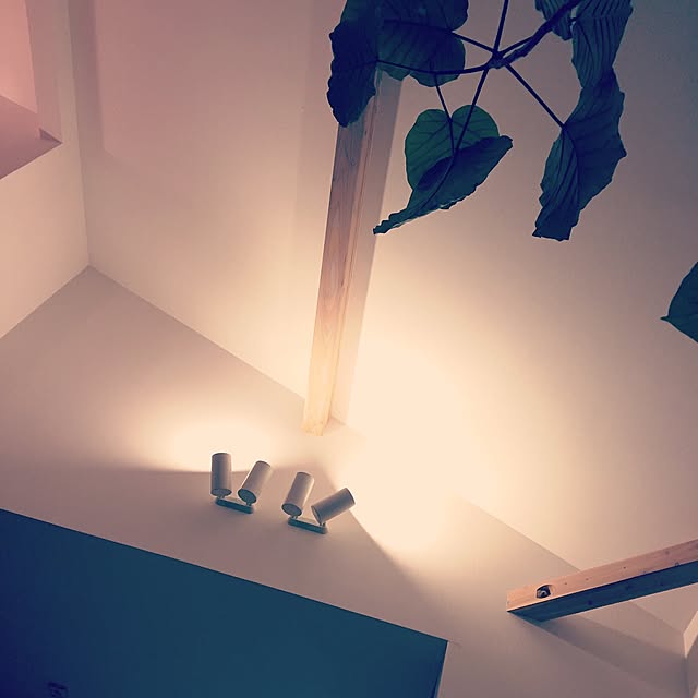 coco2000さんの実例写真