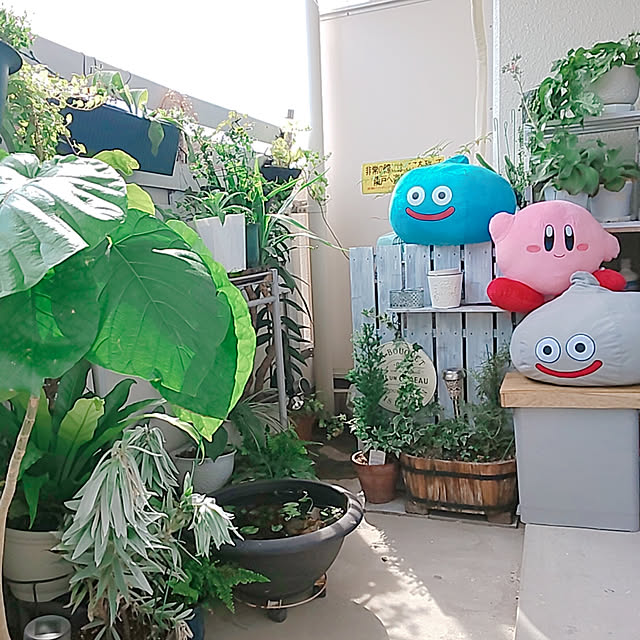 yuuu7712さんの実例写真