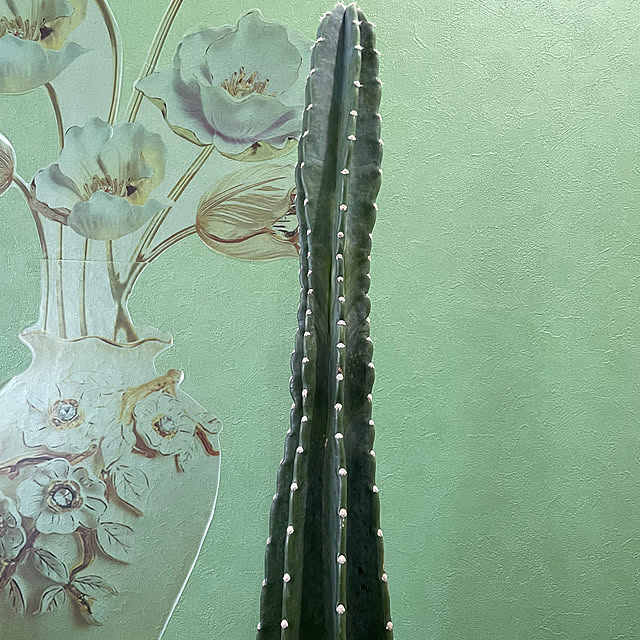 sata9さんの実例写真