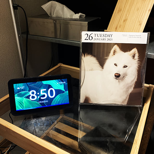 照明/IKEA/100均/一人暮らし/男前...などのインテリア実例 - 2021-01-26 20:51:52