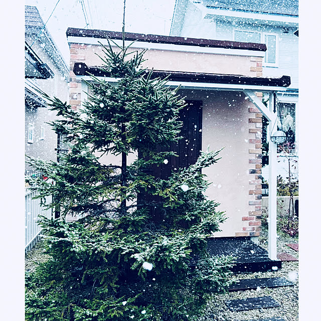 usagiさんの実例写真